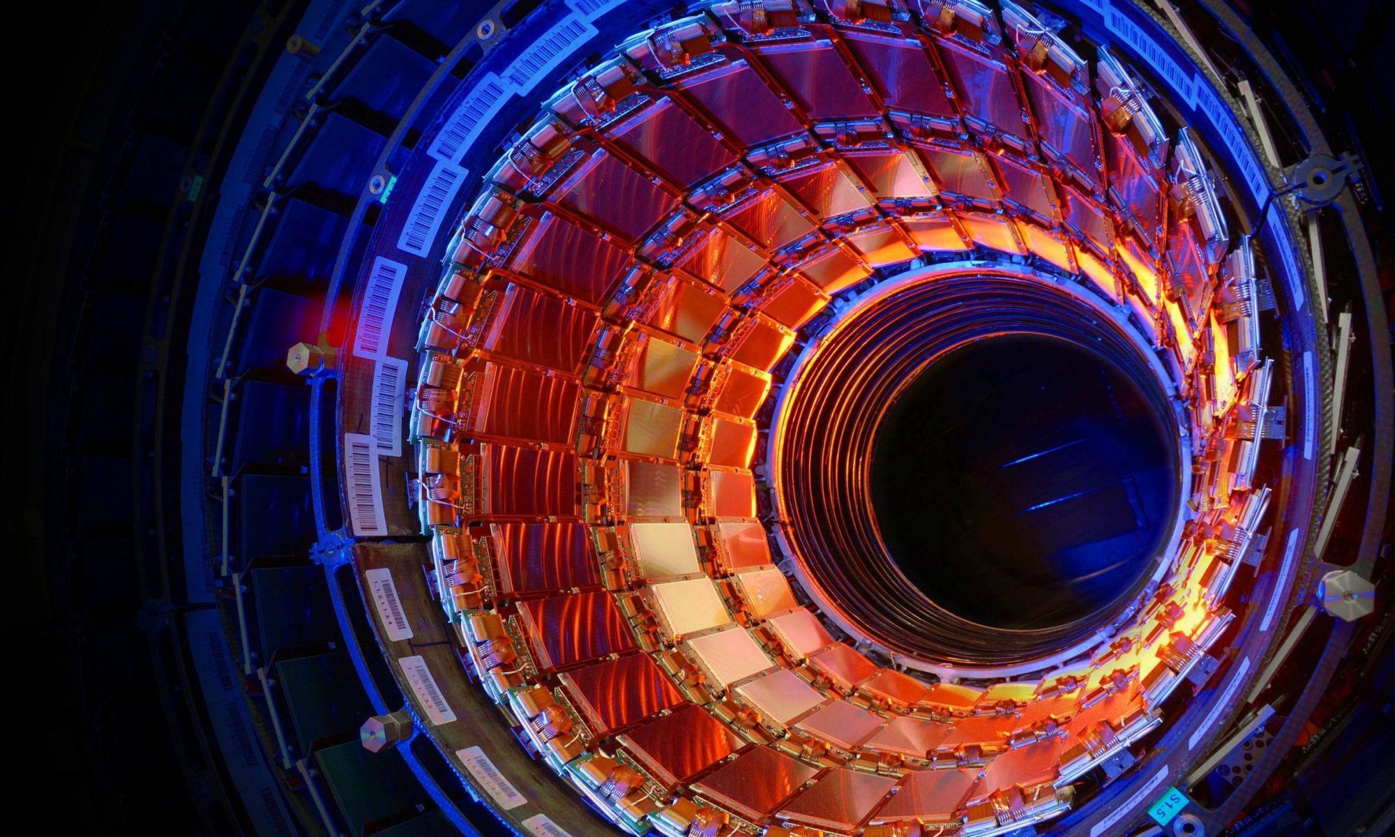 The Large Hadron Collider Black Hole